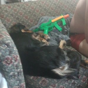 Meet your Posher, James